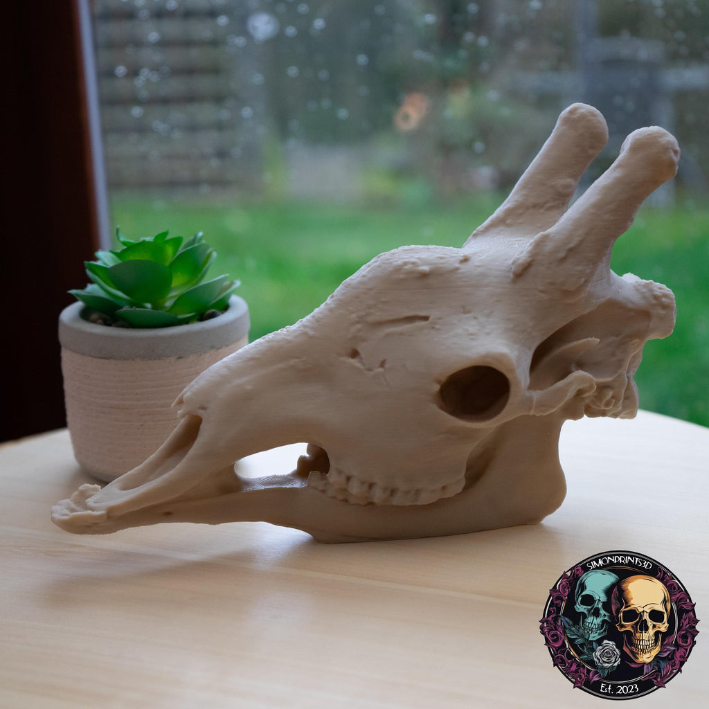 Scaled-Down Giraffe Skull Replica – Realistic 3D Printed Bone Model