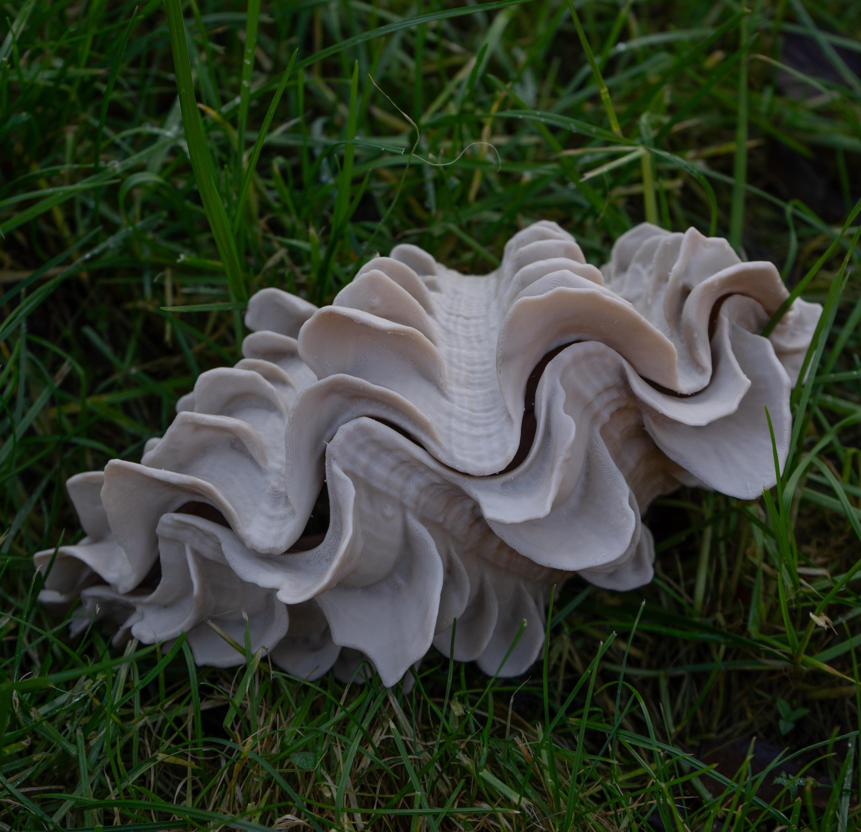 Giant Clam - 3D Print