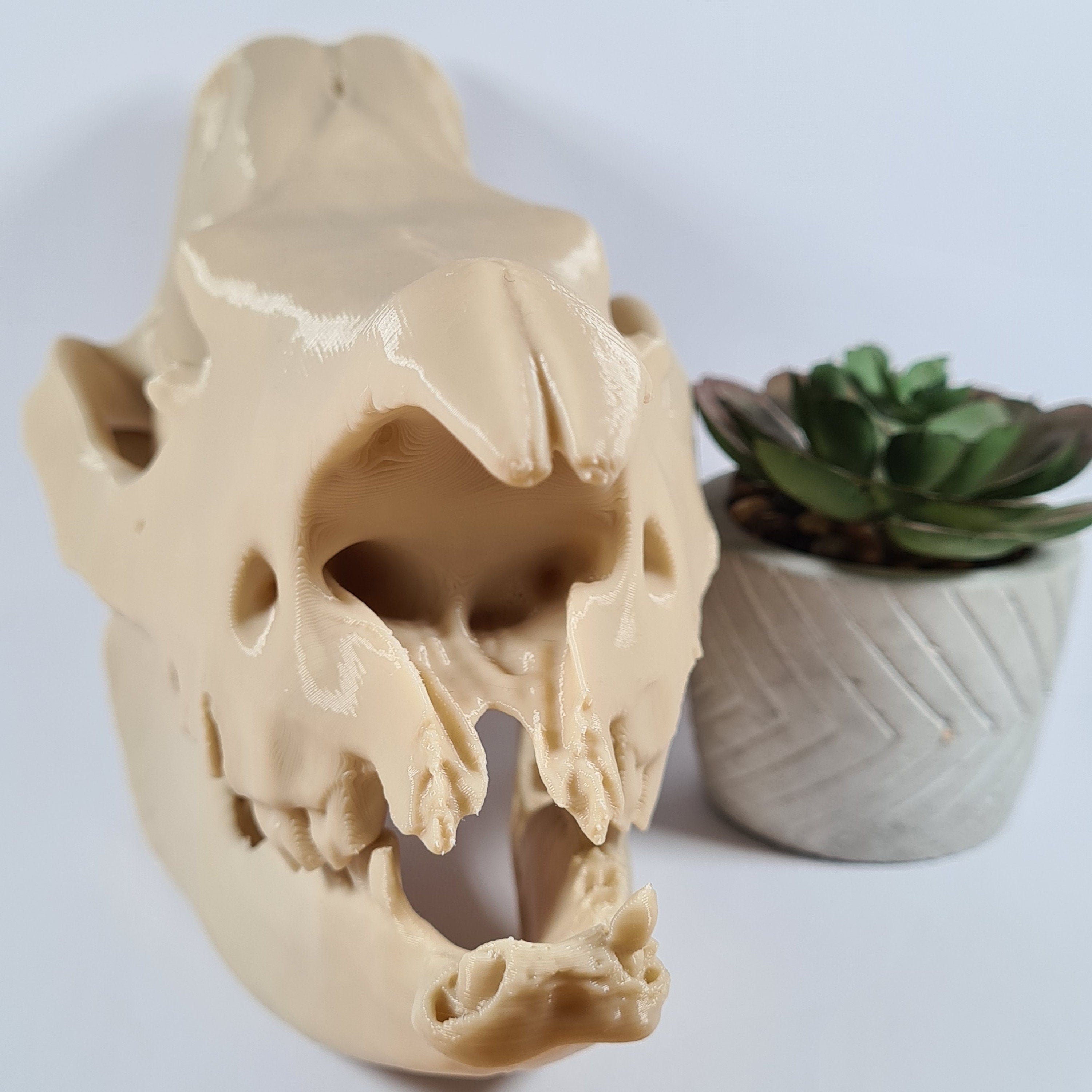 Rhinoceros Skull - 3D Print