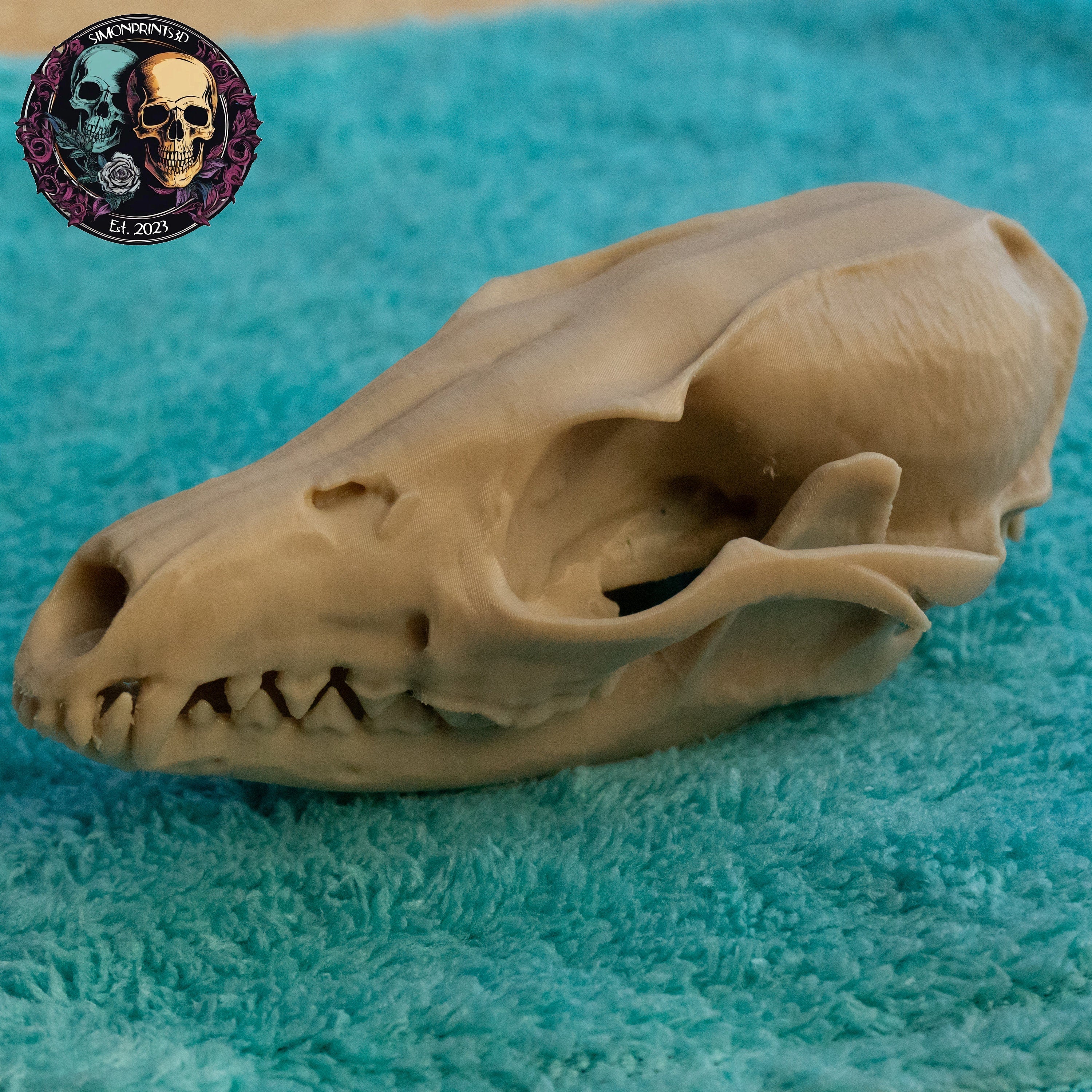 Grey Fox Skull - Life Size 3D Print