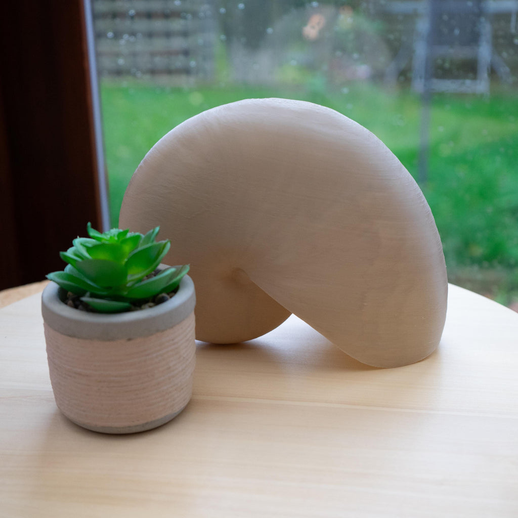 Nautilus Shell - Life Size 3D Print