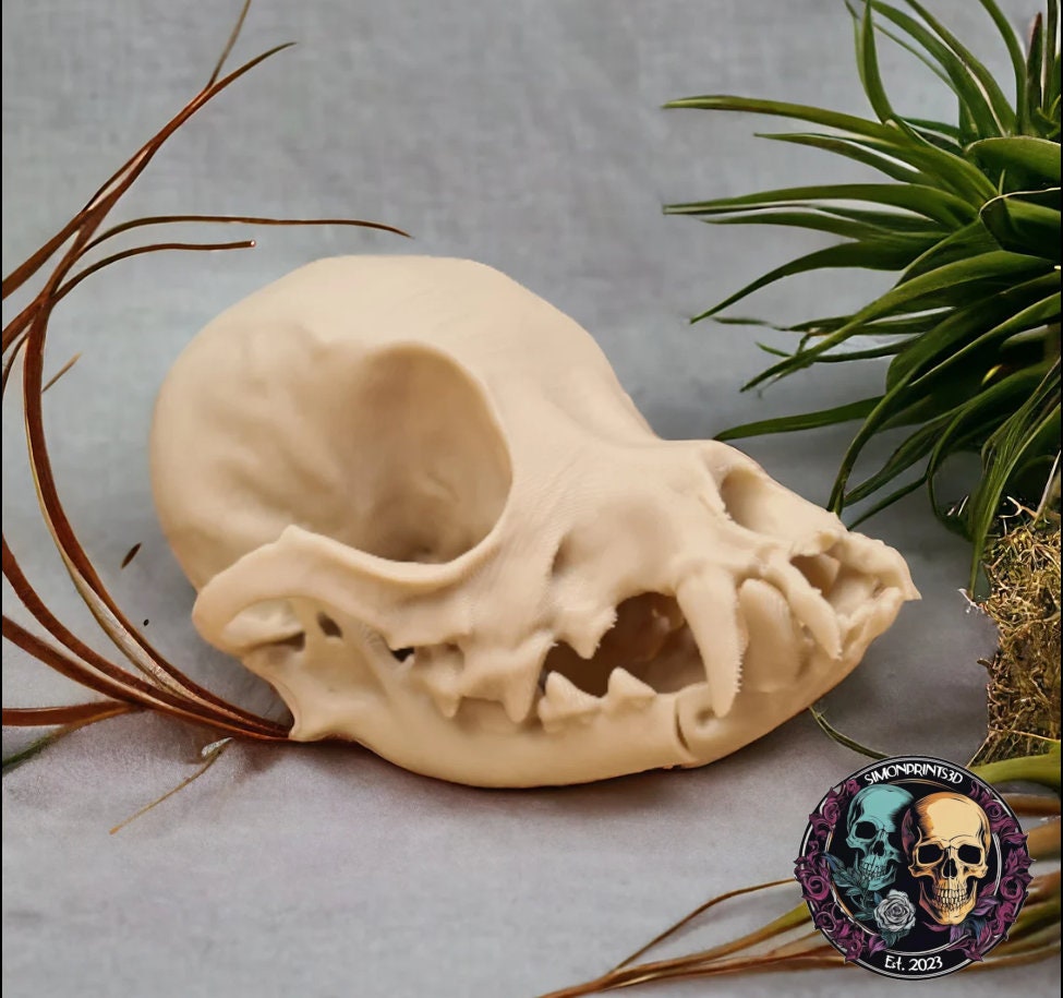 Chihuahua Skull - Life Size 3D Print